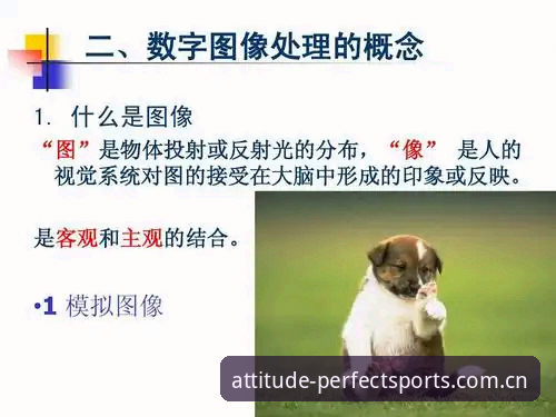 3个关键数字解读绿军拒放冈萨雷斯：一场关于未来的成本核算